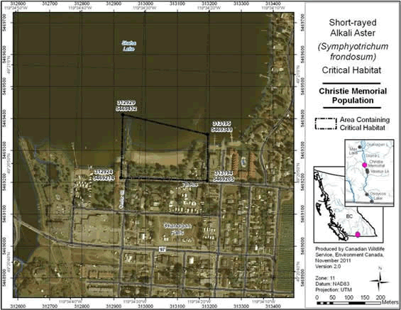Figure A2 shows the Area containing critical habitat for Short-rayed Alkali Aster near Okanagan Falls, B.C. The polygon indicates an area of 4.6 ha. Existing anthropogenic features within the indicated polygon, including active roads and houses, are not identified as critical habitat. Permanent standing water is not identified as critical habitat.