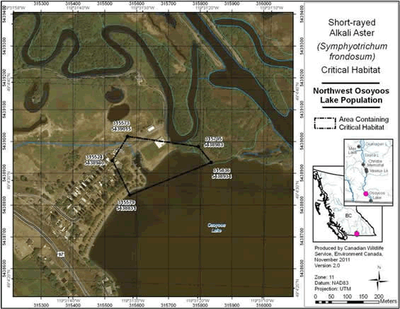 Figure A5 shows the Area containing critical habitat for Short-rayed Alkali Aster at northwest Osoyoos Lake, B.C. The polygon indicates an area of 3.4 ha. Existing anthropogenic features within the indicated polygon, including active roads and houses, are not identified as critical habitat. Permanent standing water is not identified as critical habitat.