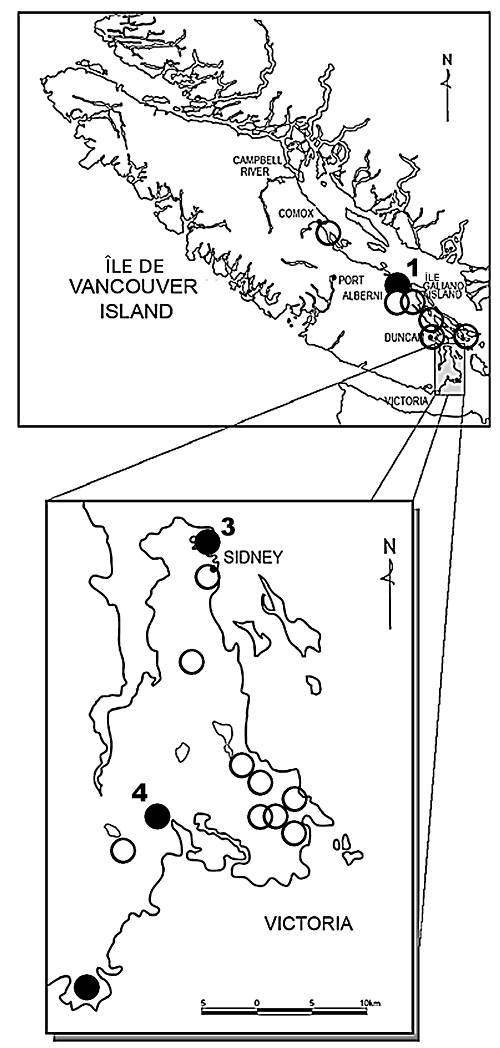 Dense Spike-primrose British Columbian distribution map.