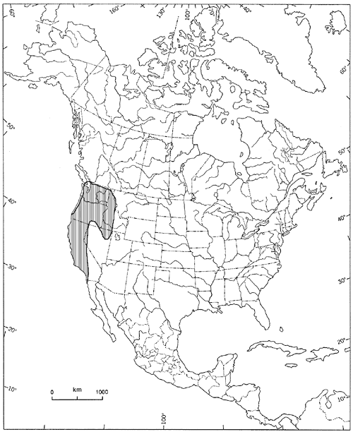 Carte de l’aire de répartition nord-américaine de l’épilobe densiflore