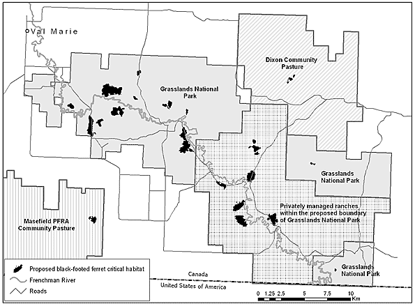 Proposed critical habitat for the black-footed ferret in Canada. 