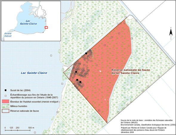 Figure 6. Habitat essentiel du sucet de lac dans l’unité Sainte-Claire de la RNF de Sainte-Claire
