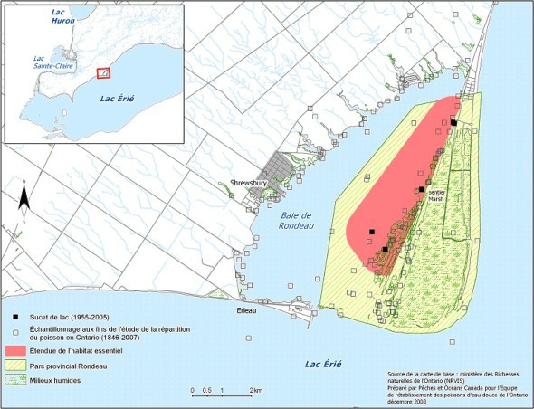 Figure 8. Habitat essentiel du sucet de lac dans la baie Rondeau