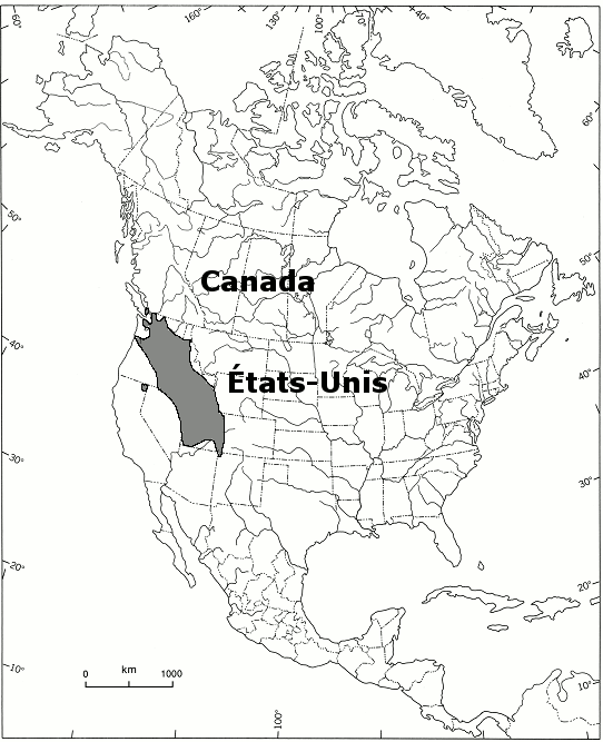 Répartition du lomatium de Gray en Amérique du Nord. Pour l’essentiel, l’aire de répartition s’étend de Seattle, dans l’État de Washington, au sud-est jusqu’au centre de l’État, et englobe la moitié nord de l’Orégon, la plus grande partie de l’Idaho (sauf une petite zone longeant la limite nord), le coin nord du Nevada, le coin sud-ouest du Wyoming, la plus grande partie de l’Utah, le long de la limite ouest du Colorado, et, enfin, le coin de l’extrême nord-ouest du Nouveau-Mexique. À cette aire s’ajoutent deux petites zones isolées, l’une dans le nord-est de la Californie, l’autre dans le sud-ouest de la Colombie-Britannique.