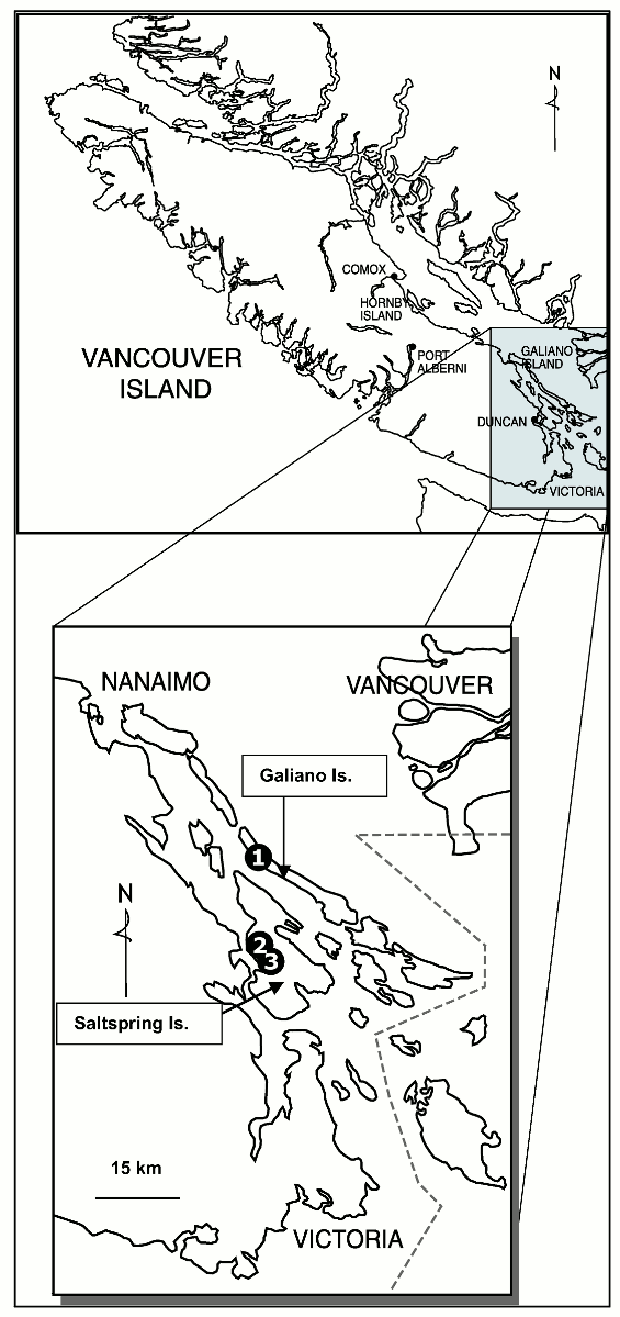 Map showing the distribution of Gray’s Desert-parsley in British Columbia. The distribution is three populations, one on northern Galiano Island, and two on central west Saltspring Island.