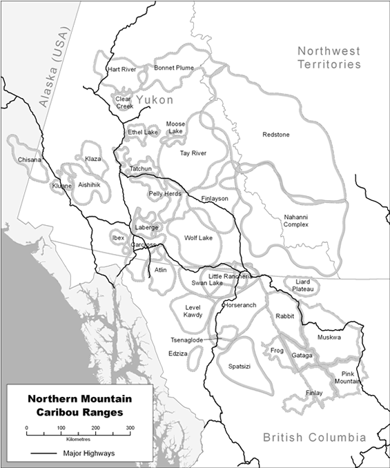 Figure 1 is a map of the herd ranges of the Northern Mountain population of Woodland Caribou.  The herds are found throughout southern Yukon, western Northwest Territories, northern British Columbia and one herd straddles the border with Alaska.