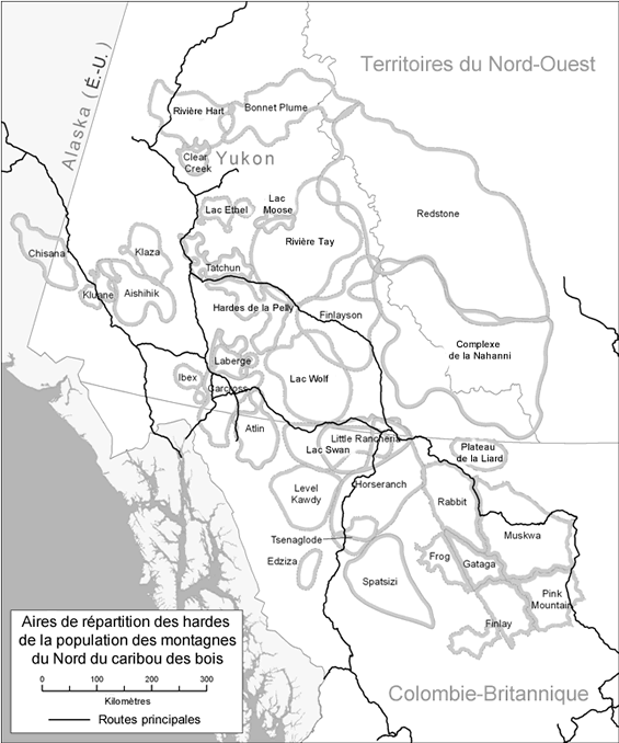La figure 1 est une carte des aires de répartition des hardes de la population des montagnes du Nord du caribou des bois. Les hardes se rencontrent dans l'ensemble du sud du Yukon, de l'ouest des Territoires du Nord-Ouest et du nord de la Colombie-Britannique, et l'aire de répartition de l'une d'entre elles chevauche la frontière Alaska-Yukon.