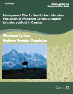 Cover of the publication: Management Plan for the Northern Mountain Population of Woodland Caribou (Rangifer tarandus caribou) in Canada [PROPOSED] – 2011