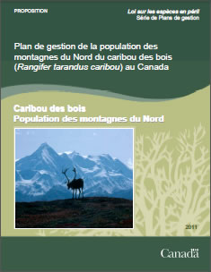 Couverture de la publication : Plan de gestion de la population des montagnes du Nord du caribou des bois (Rangifer tarandus caribou) au Canada [PROPOSITION] – 2011