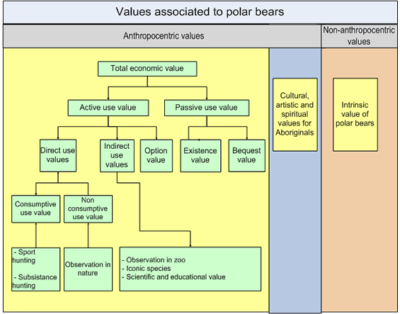 Values associated with polar bears: Anthropocentric values and Non-anthropocentric values.