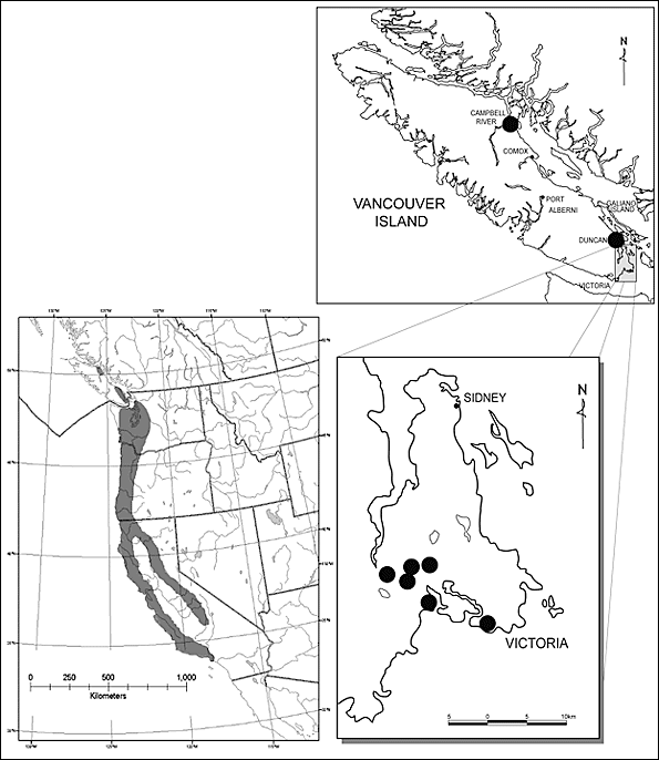 Répartition du Balsamorhiza deltoidea en Amérique du Nord et en ColombieBritannique. 