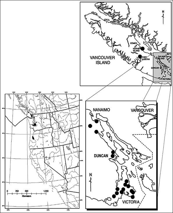 Répartition du Sericocarpus rigidus en Amérique du Nord et en ColombieBritannique.
