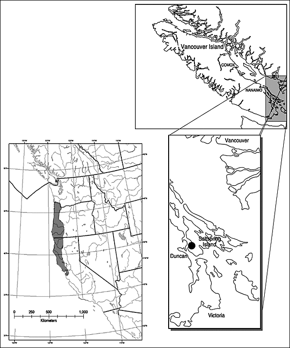Small-flowered tonella distribution in North America and British Columbia