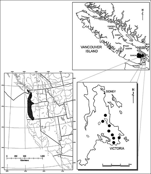 Répartition du Viola praemorsa spp. praemorsa en Amérique du Nord et en ColombieBritannique.