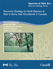 Species at Risk Act Recovery Strategy Series    Recovery Strategy for Multi-Species at Risk in Garry Oak Woodlands in Canada  Deltoid balsamroot  White top aster  Small-flowered tonella  Howell’s triteleia  Yellow montane violet  July 2006