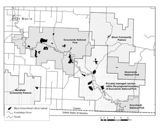 Figure 2. Critical habitat for the black-footed ferret in Canada.